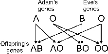 Blood Group inheritance chart